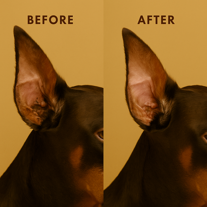 Dog Ear Cleaner Wipes
